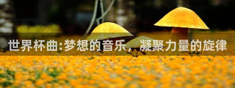 世界杯对阵图2026：世界杯曲:梦想的音乐，凝聚力量的旋律