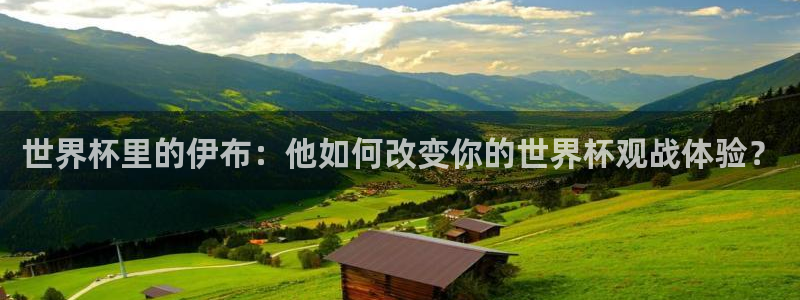 欧洲世界杯预选赛赛程：世界杯里的伊布：他如何改变你的世界杯观战体验？