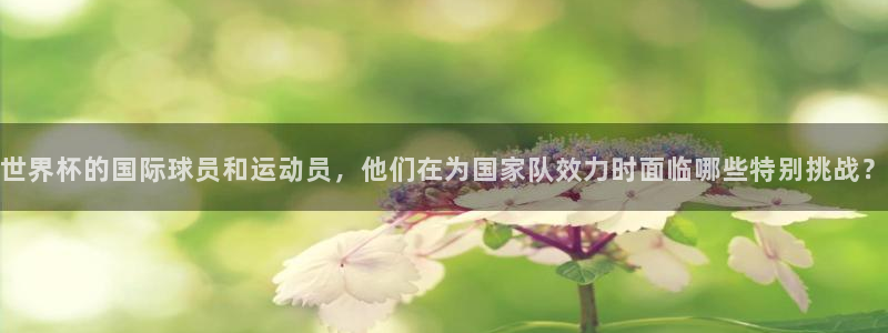 足球世预赛：世界杯的国际球员和运动员，他们在为国家队效力时面临哪些特别挑战？
