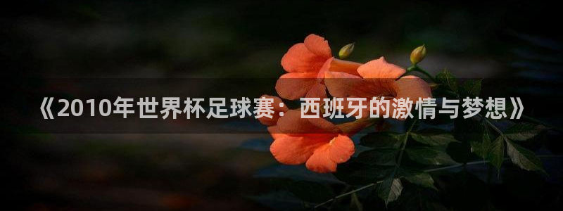 2026世界杯小组赛赛程时间表：《2010年世界杯足球赛：西班牙的激情与梦想》