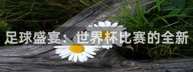 2026世界杯中国队：足球盛宴：世界杯比赛的全新