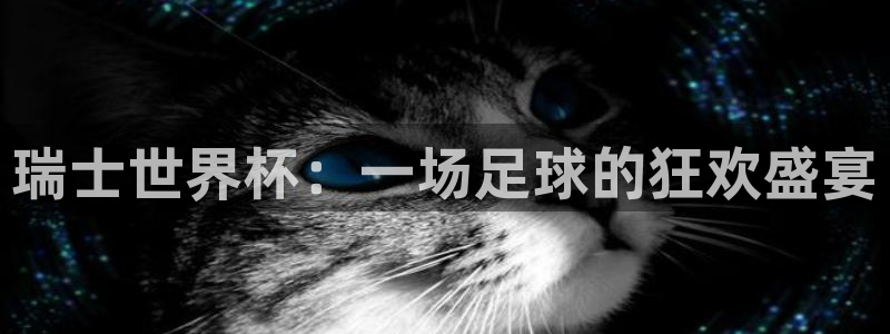 2026世界杯预选赛:瑞士世界杯:一场足球的狂欢盛宴