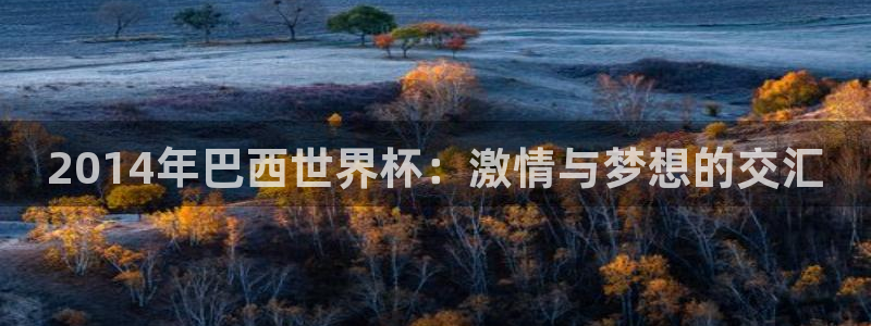 世界杯决赛预测：2014年巴西世界杯：激情与梦想的交汇