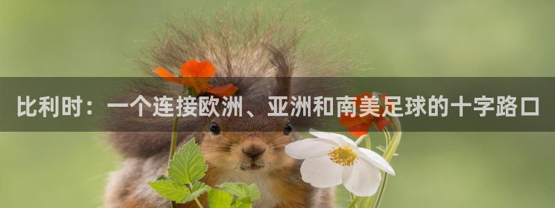 世界杯预赛赛程：比利时：一个连接欧洲、亚洲和南美足球的十字路口