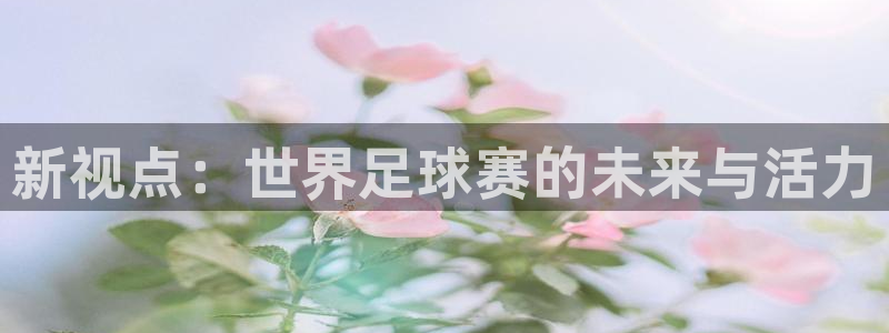 世界杯欧洲区世预赛赛程：新视点：世界足球赛的未来与活力